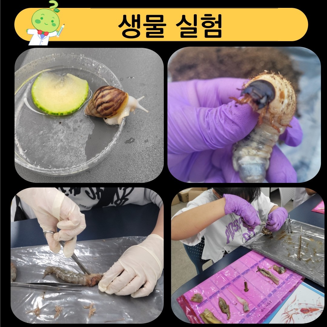 위례푸른 하연과학 picture 3