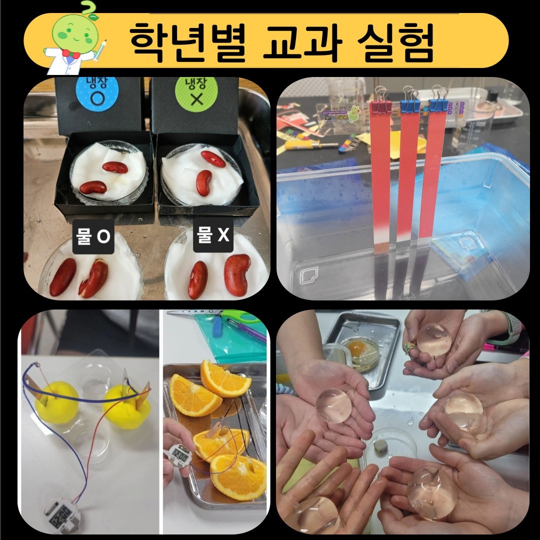 위례푸른 하연과학 picture 6