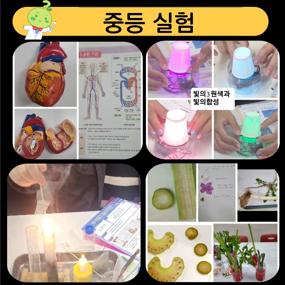 위례푸른 하연과학 picture 8