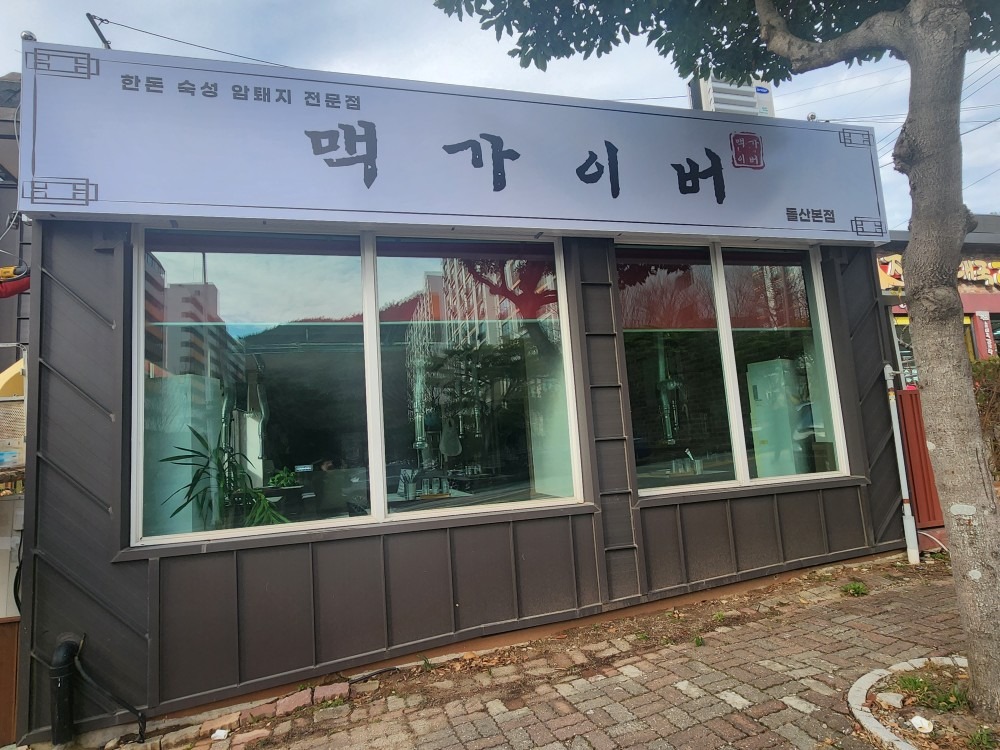 맥가이버 picture 2