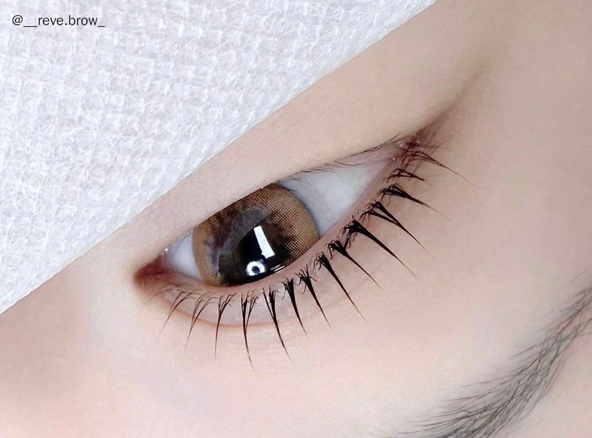 레브브로우 picture 0