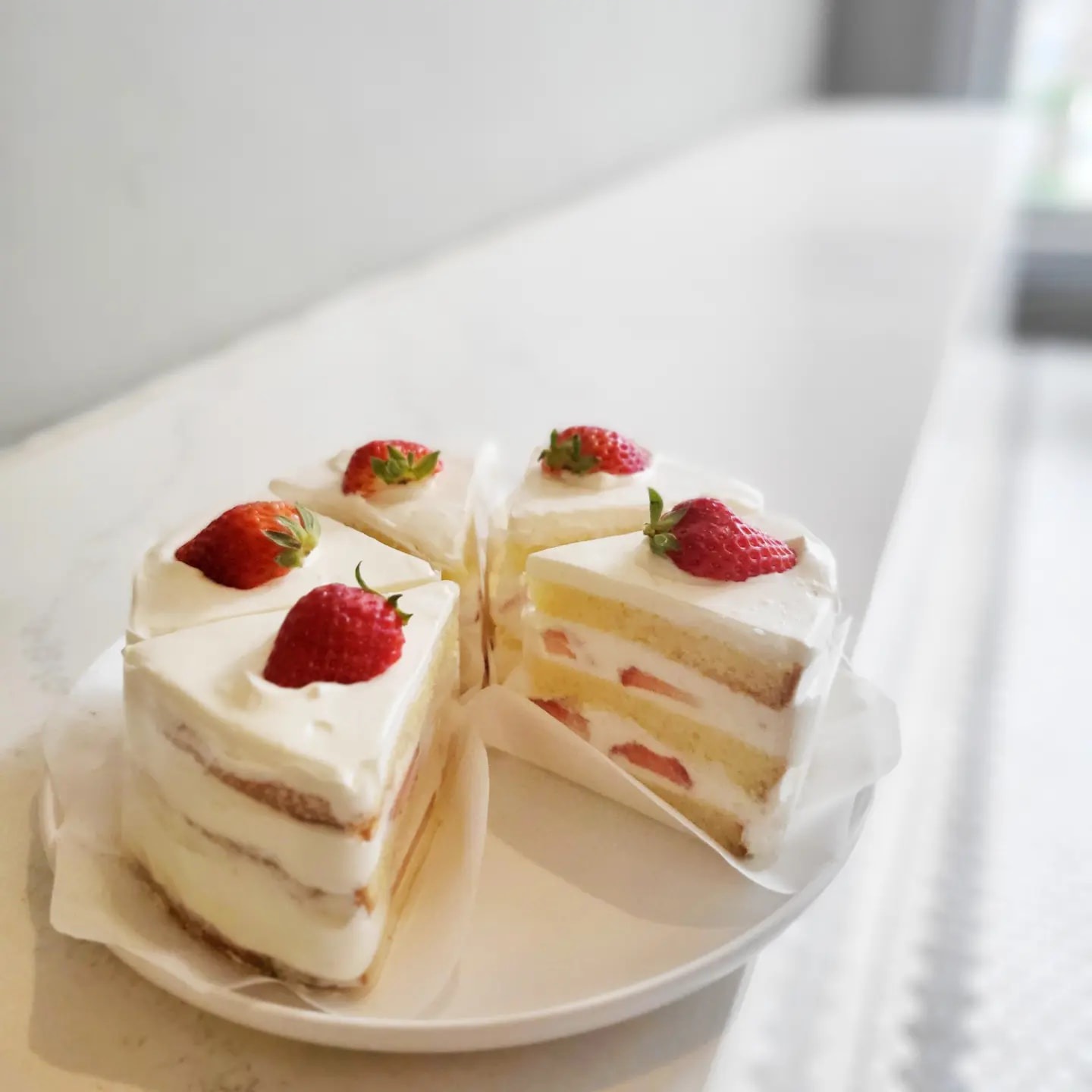 진을림 picture 6