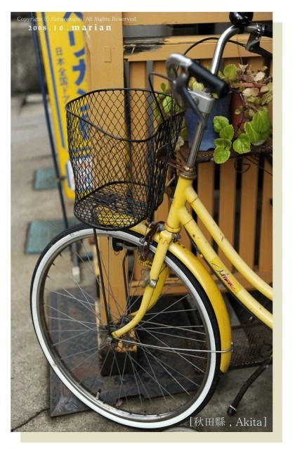 포토김 스냅   picture 0