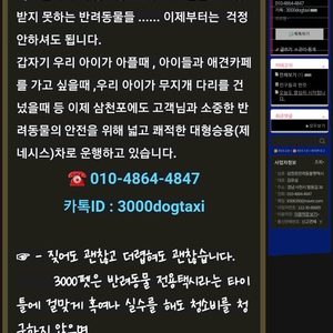 삼천포반려동물펫택시