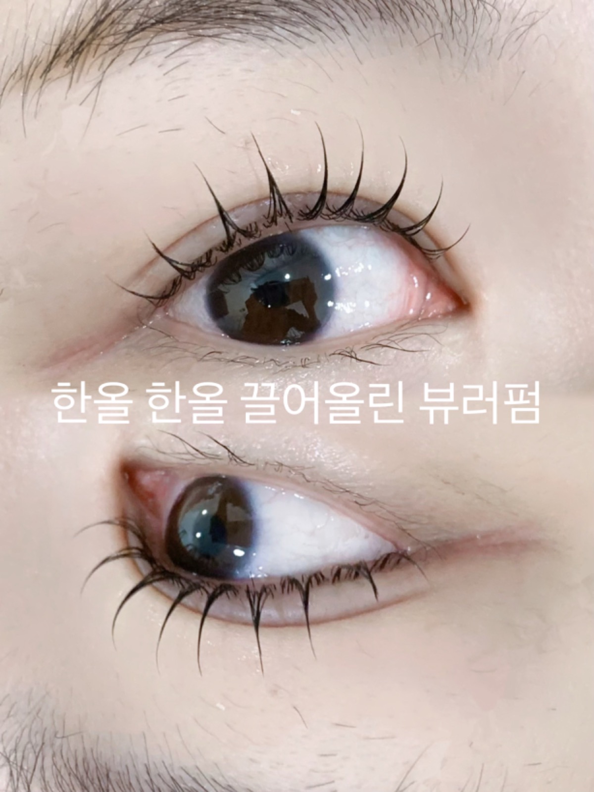 뷰티콩 picture 7