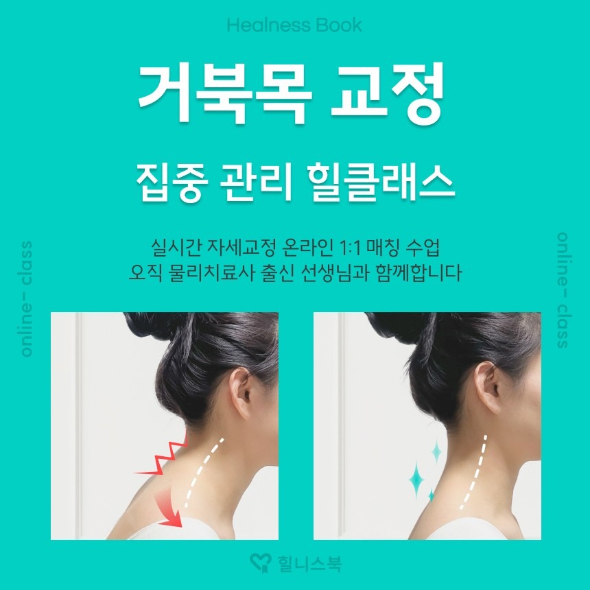 힐니스북 picture 5