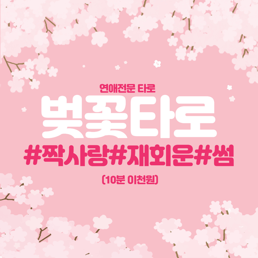 벚꽃타로