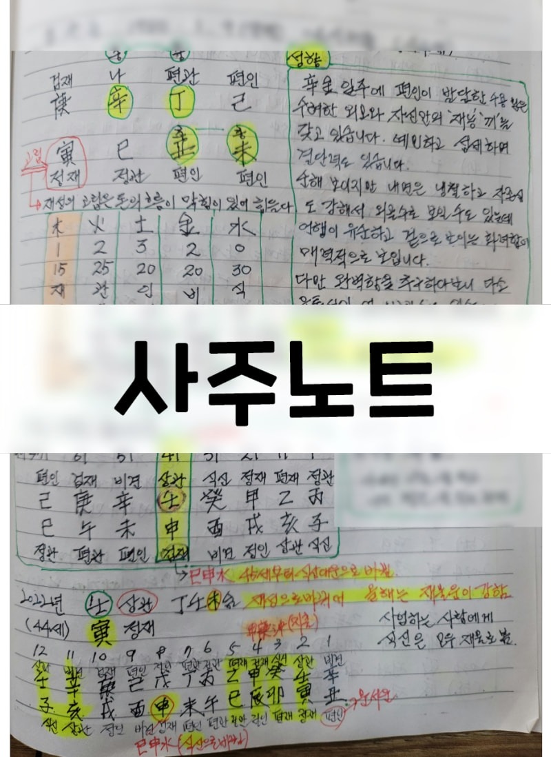 사주 타로 상담 여온 picture 6