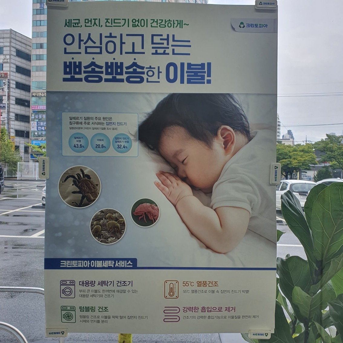 크린토피아 Gs슈퍼 마산점 picture 4