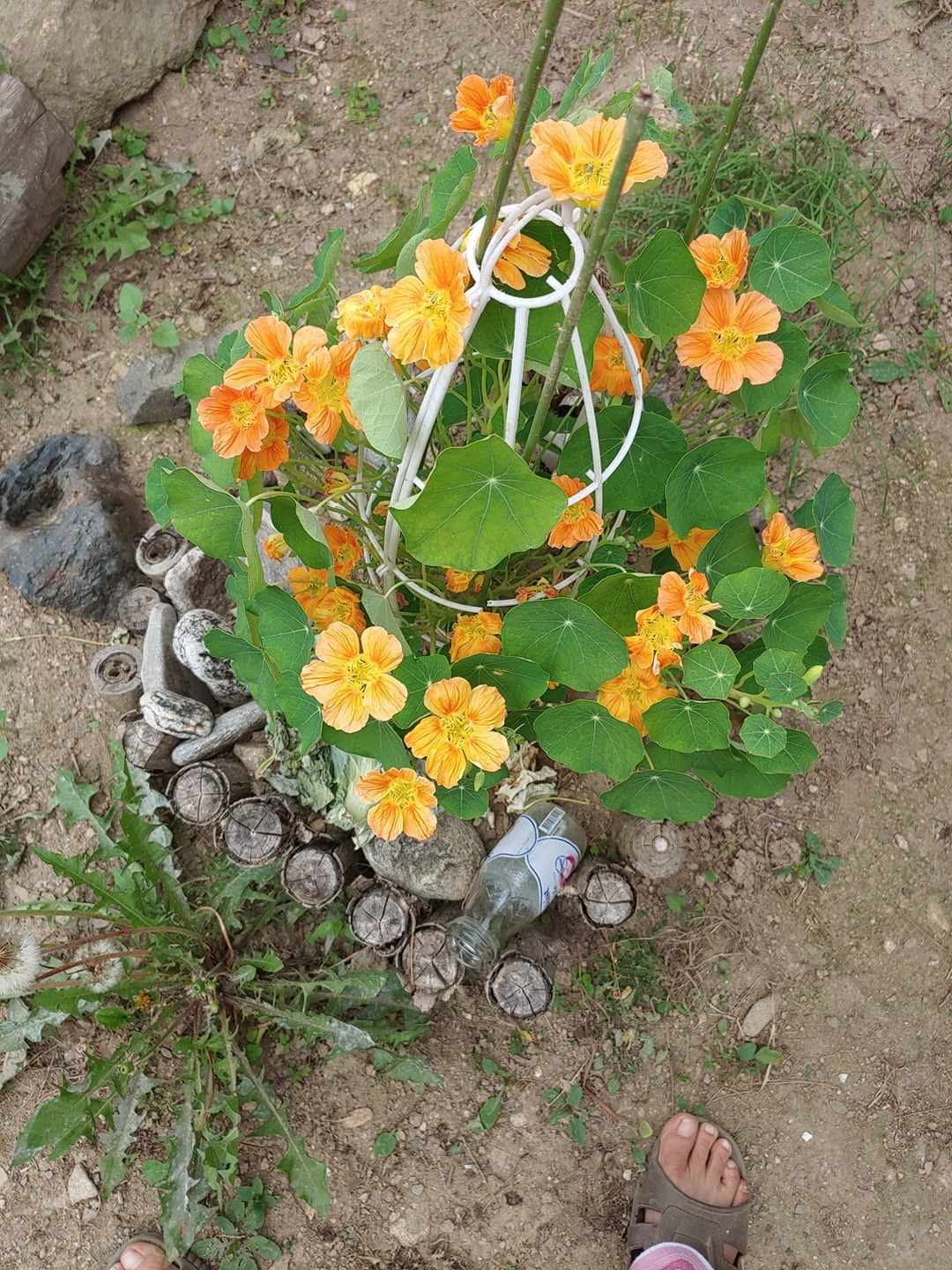 가평 picture 6