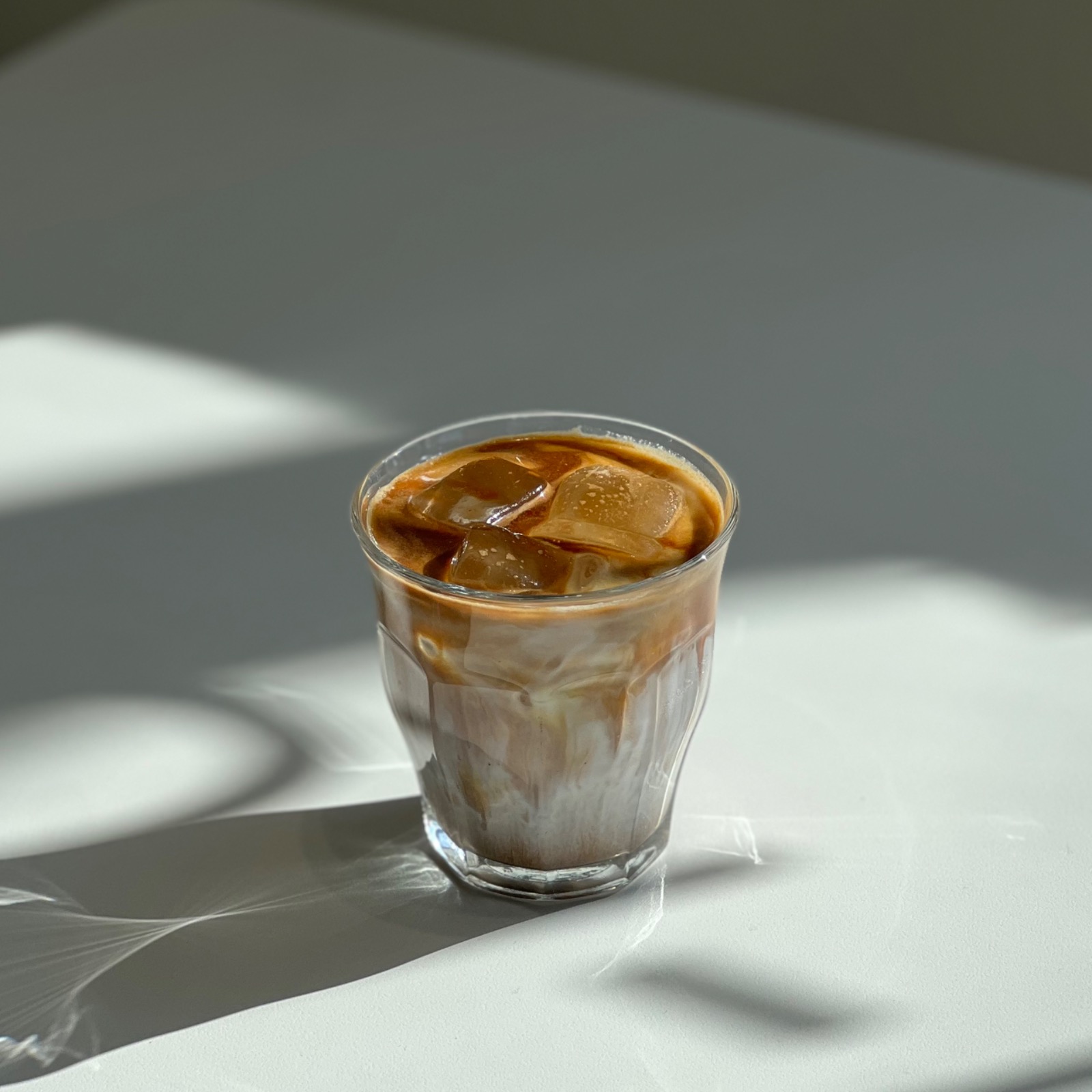 디어피피 펫푸드 앤 카페 picture 2
