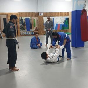 팀사우스