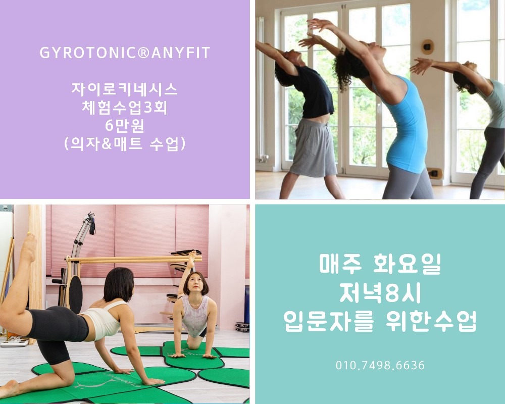 자이로토닉애니핏 picture 1