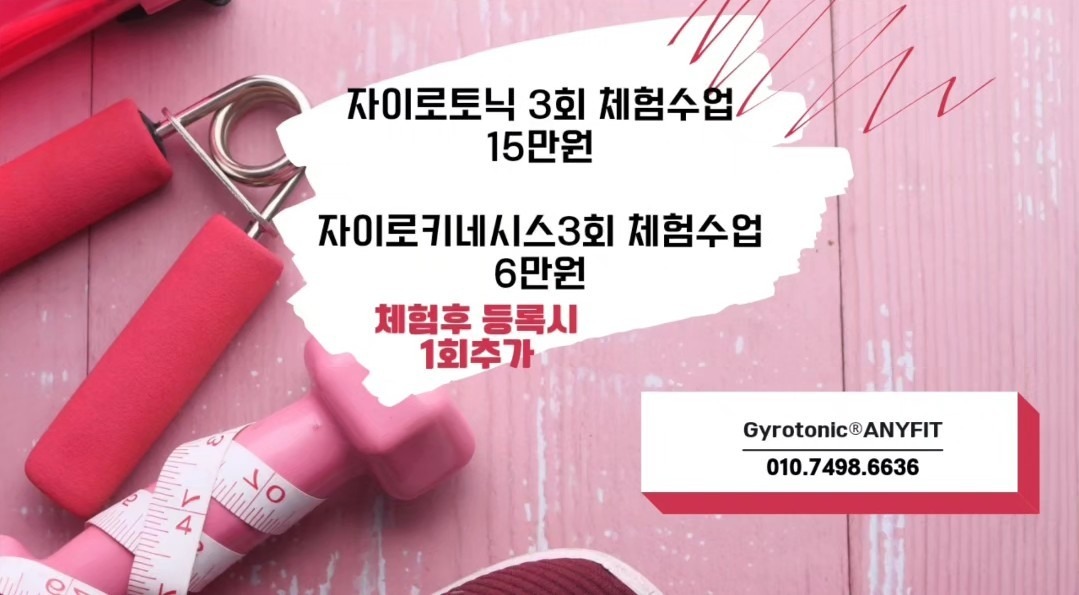 자이로토닉애니핏 picture 2