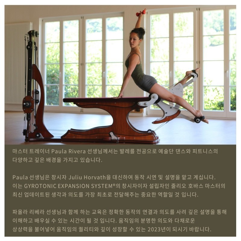 자이로토닉애니핏 picture 3