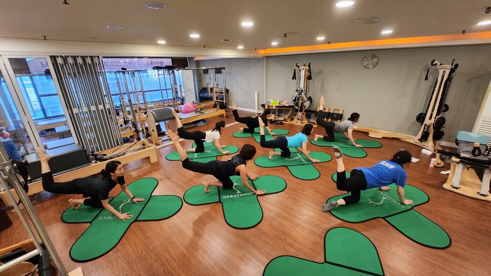 자이로토닉애니핏 picture 5