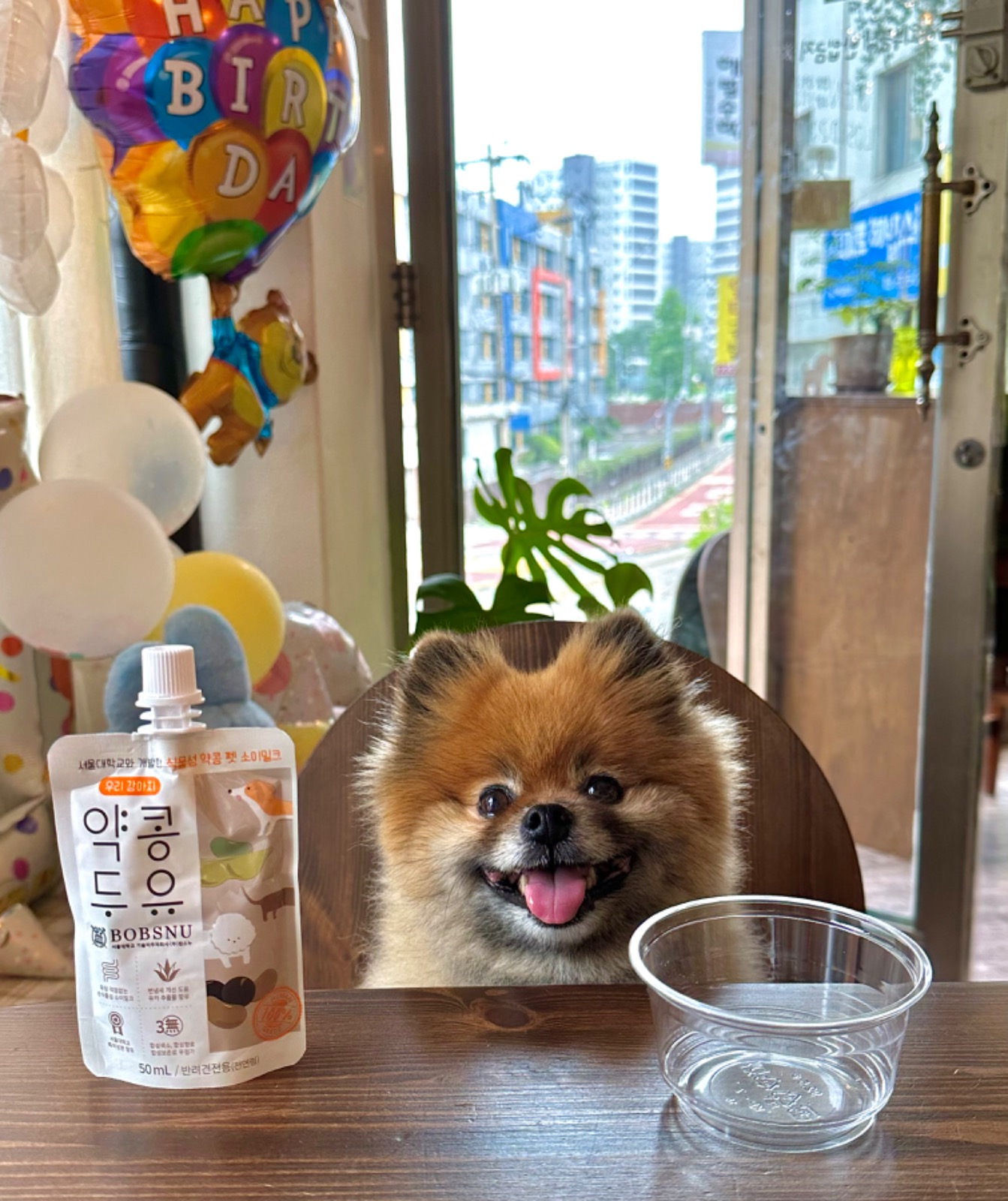 모먼트 디 보네르 picture 9