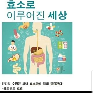 미리안 좋은 효소