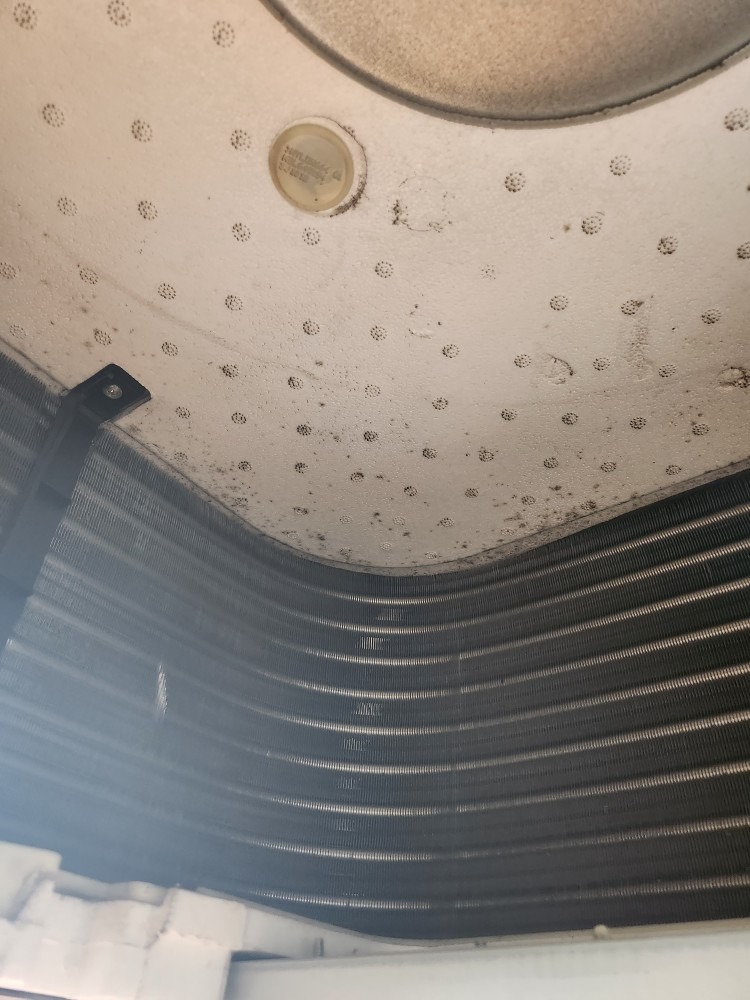 해피클린 picture 4