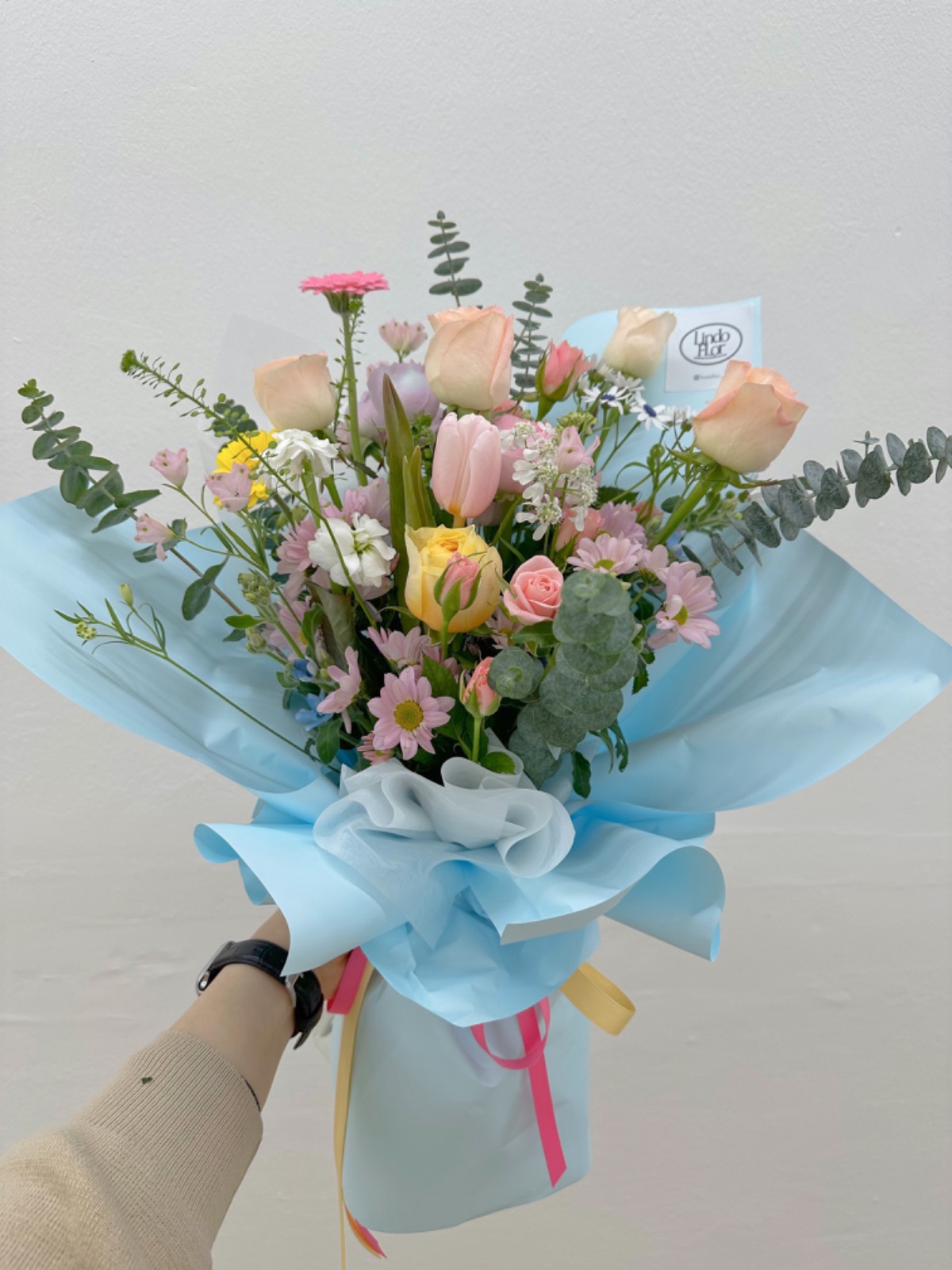 린도플로 picture 1