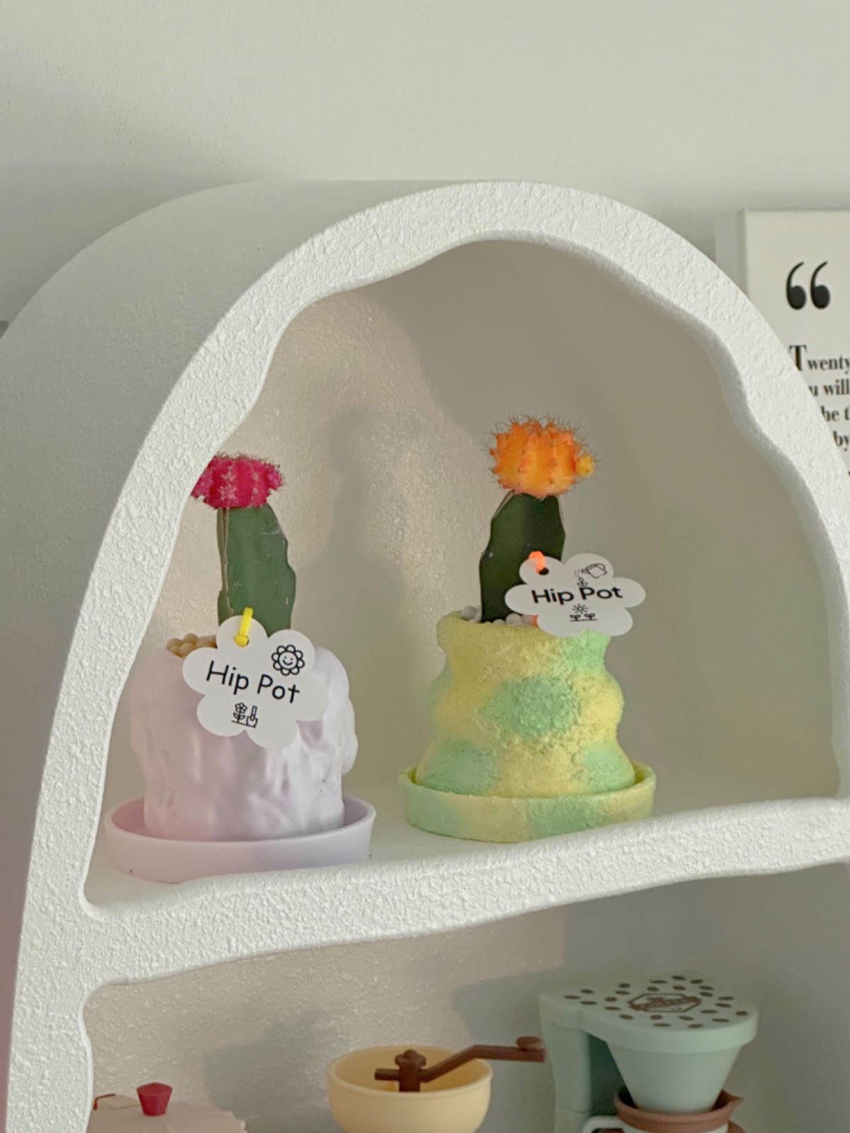 린도플로 picture 6