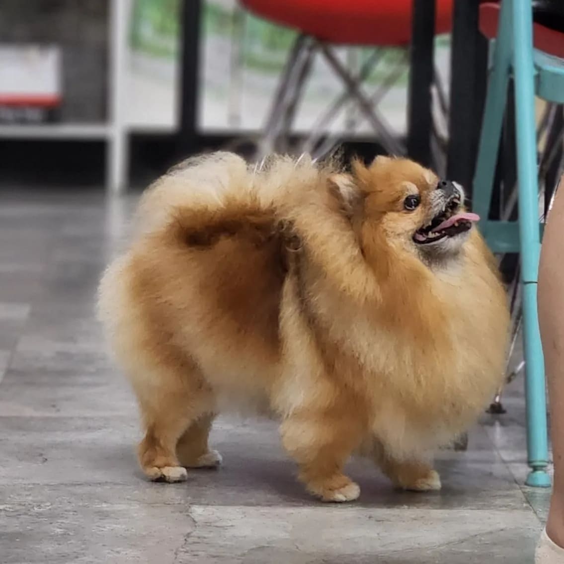 개편한카페 picture 6