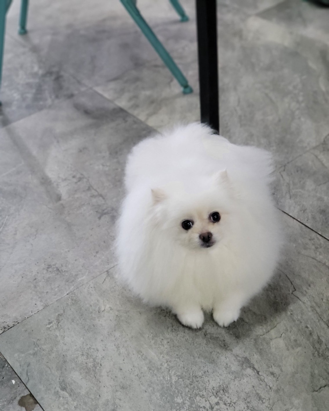 개편한카페 picture 7