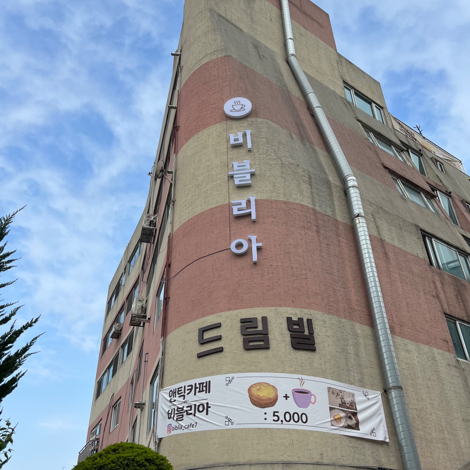 카페 비블리아 picture 0