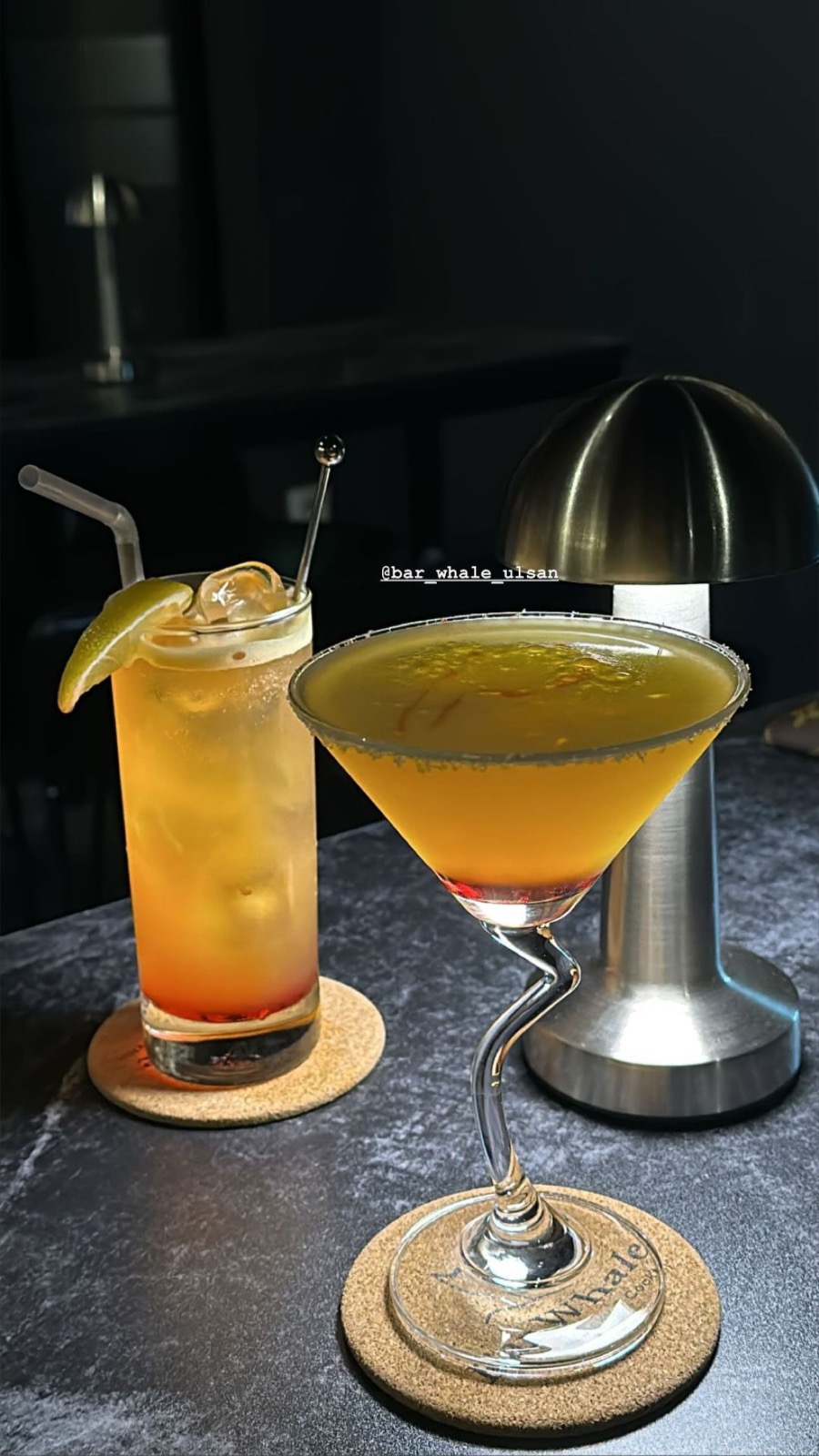 바 웨일 Bar Whale picture 9