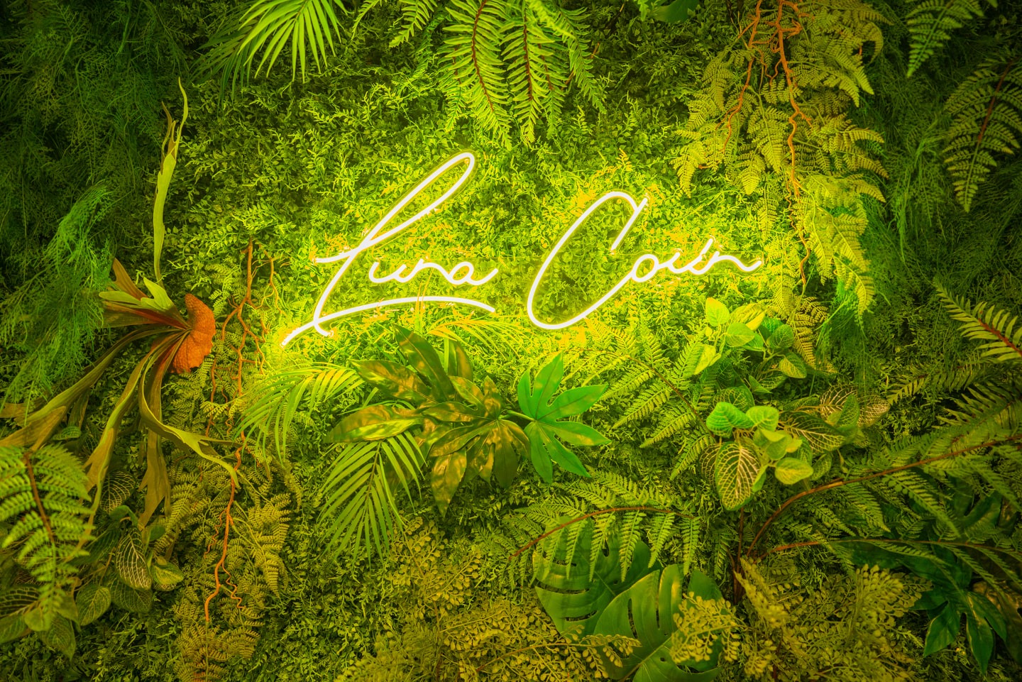 루나 코인 노래연습장 | 경기도 군포시 산본동 | 노래방 | 당근 동네 업체