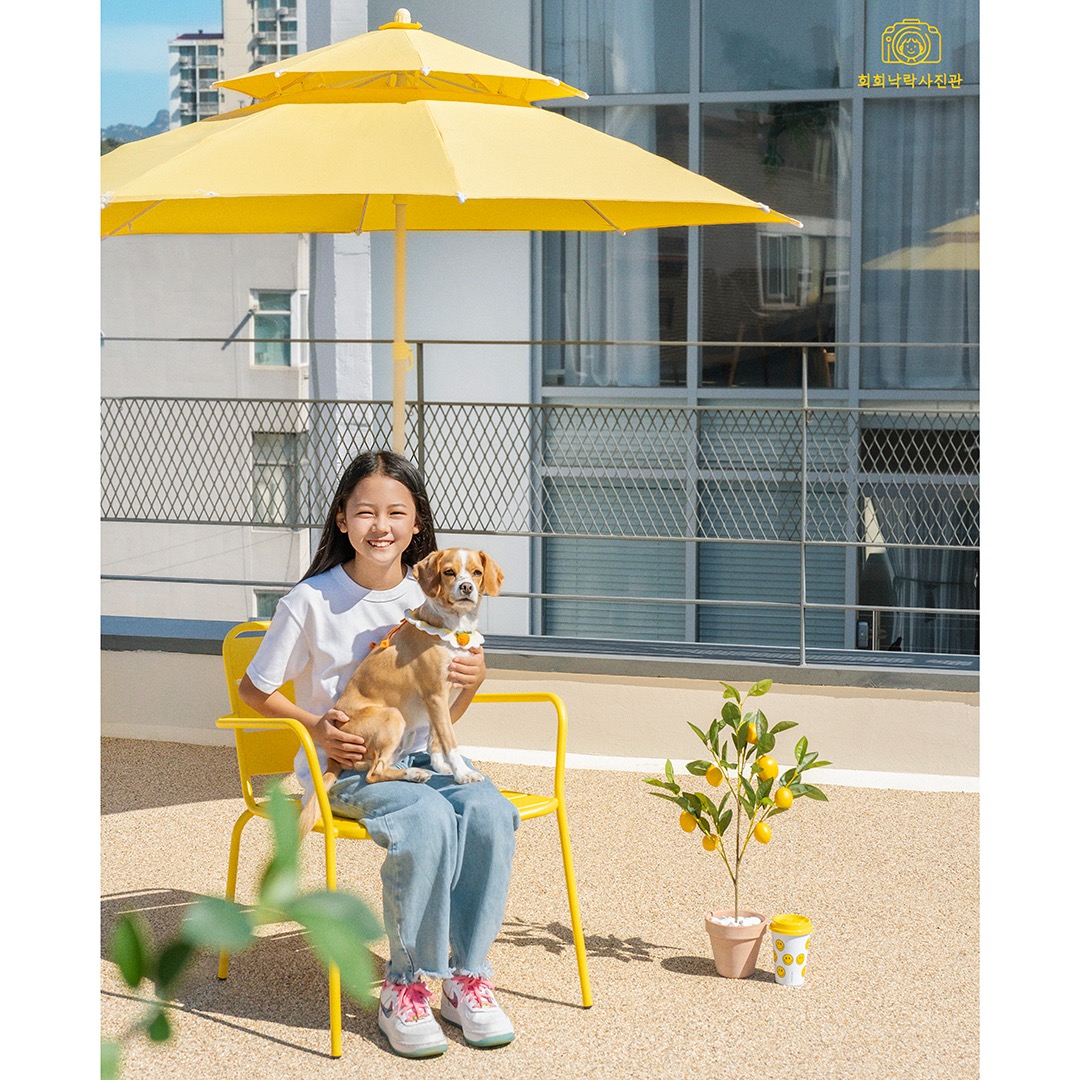 희희낙락사진관 picture 6