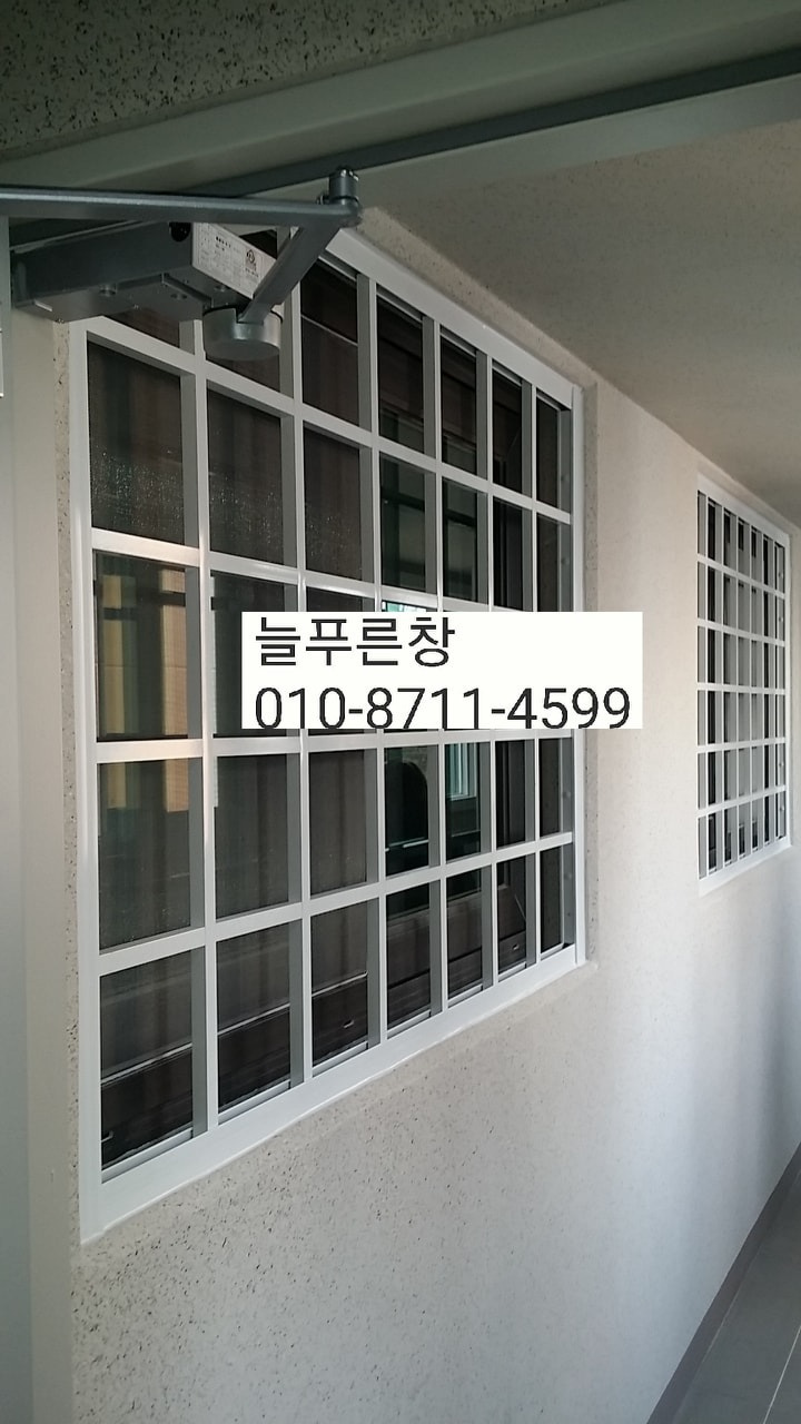 늘푸른창