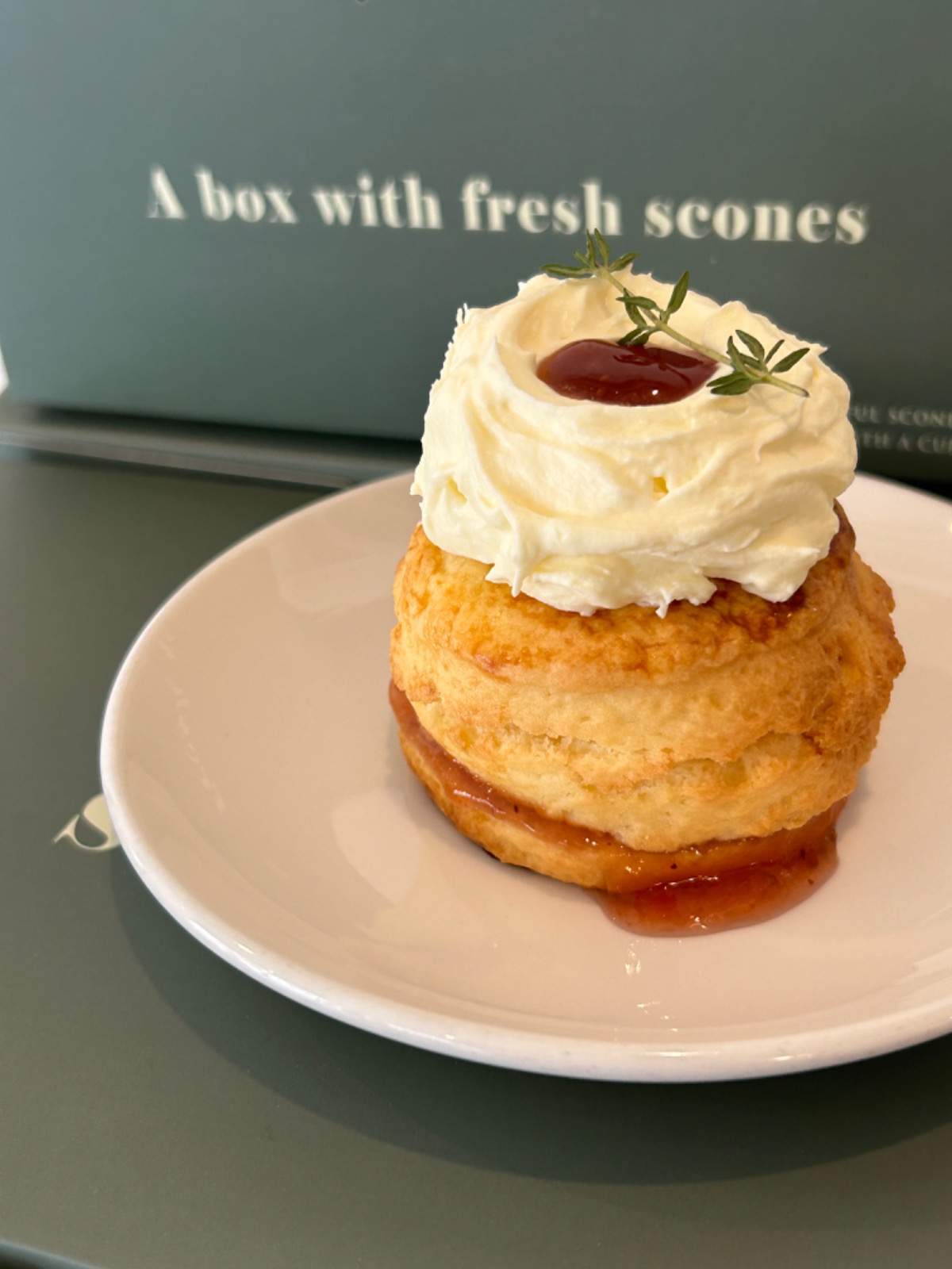 키라쿠 | 동네업체