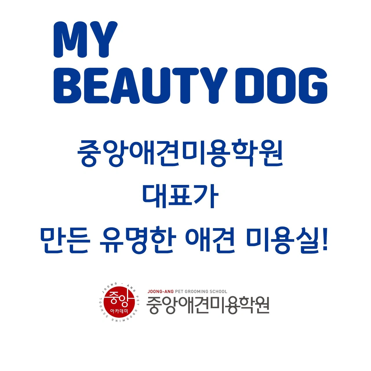 마이 뷰티독 미아점 | 서울특별시 성북구 길음동 | 반려동물미용 | 당근 동네 업체