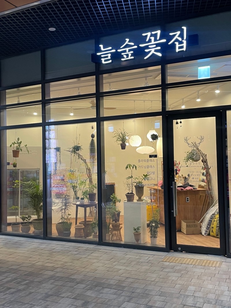늘숲꽃집 picture 1