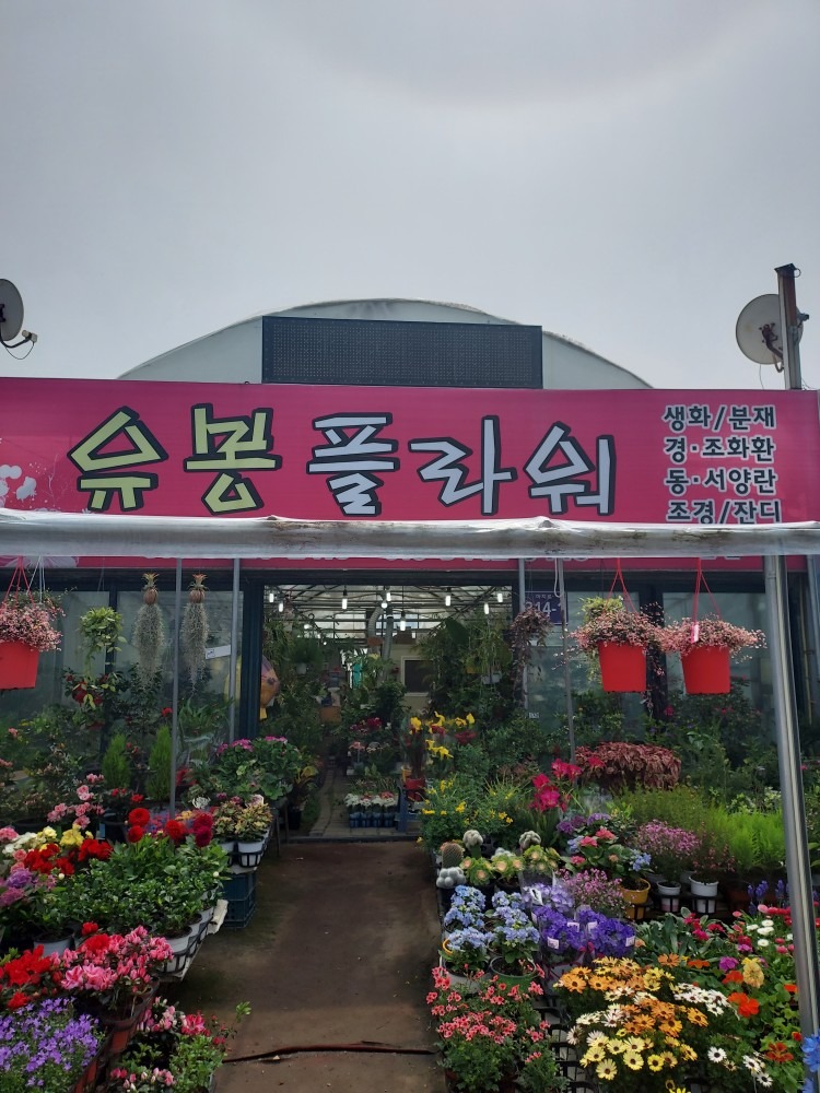 유봉플라워 picture 0