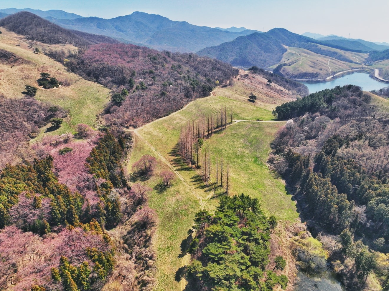 스카이볼아카데미 picture 7