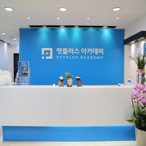 펫플러스아카데미