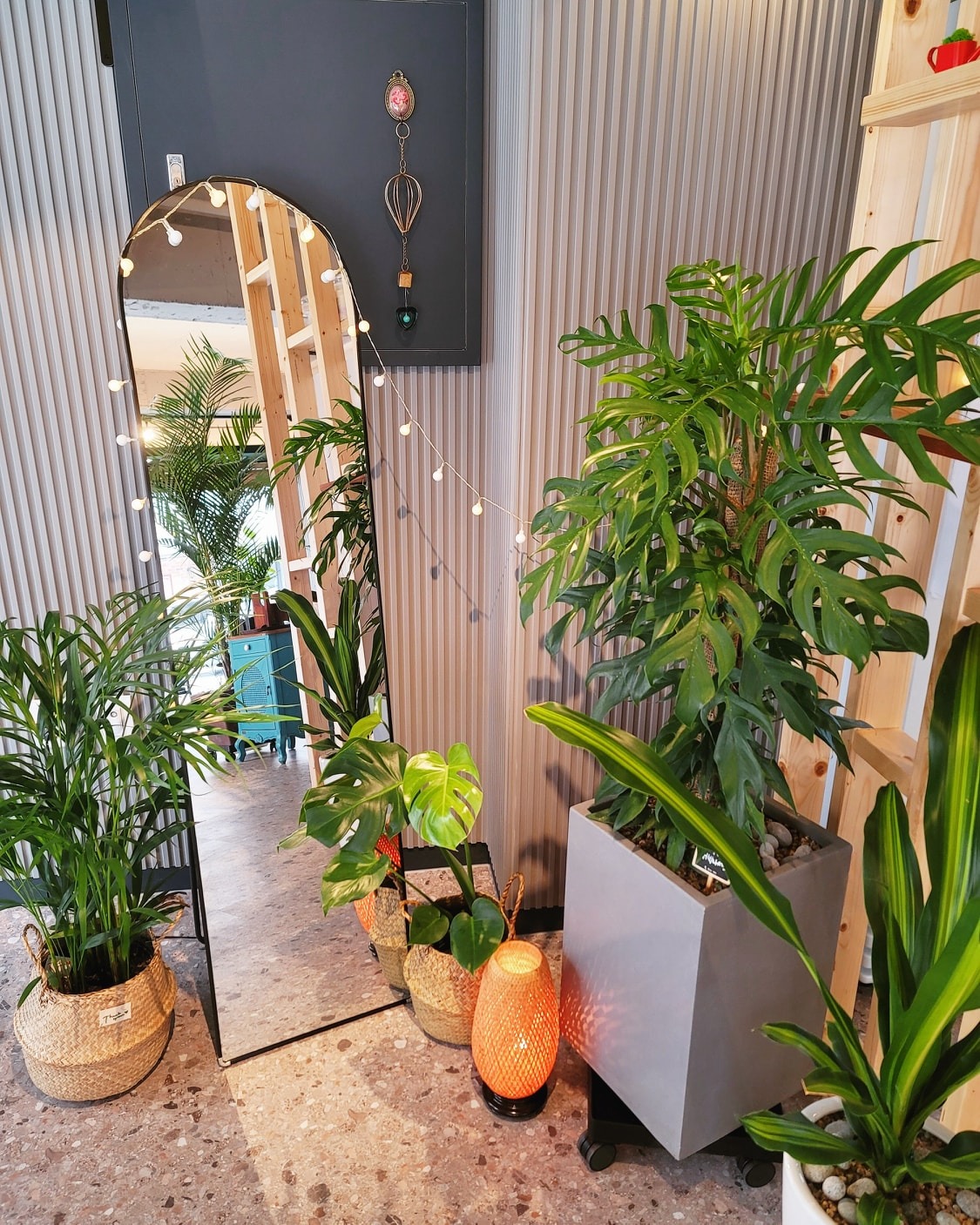 스위티그린&샐럽스프 산남점 picture 9