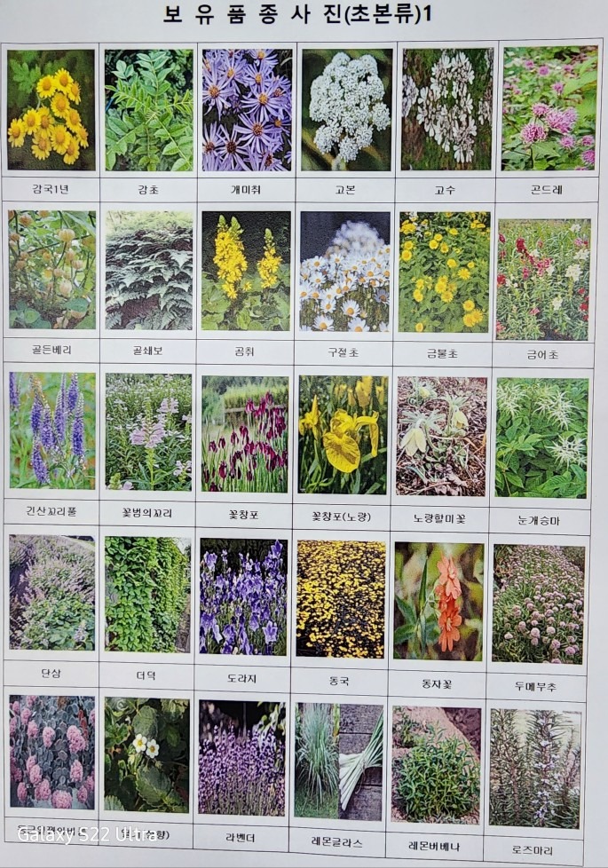 세종약초원  picture 6