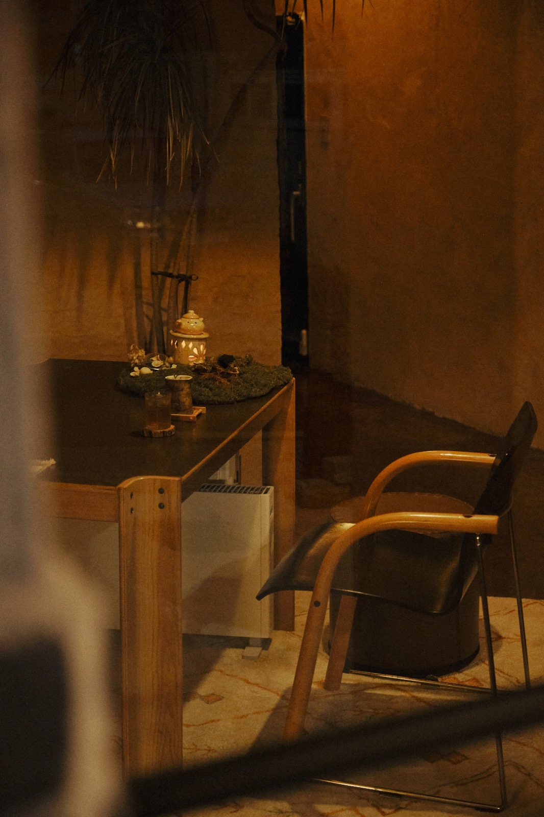 어루 picture 7