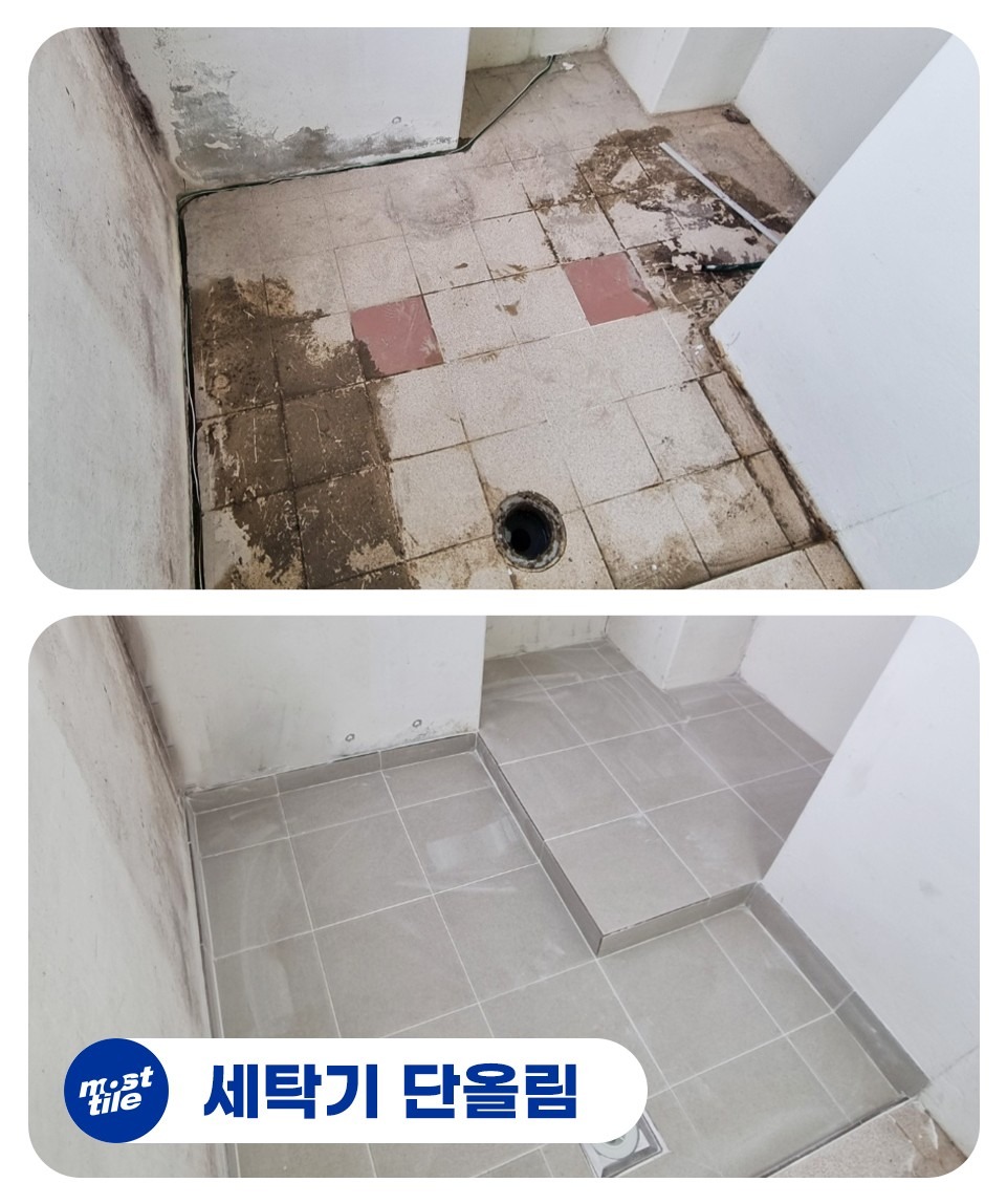 모스트타일 picture 1