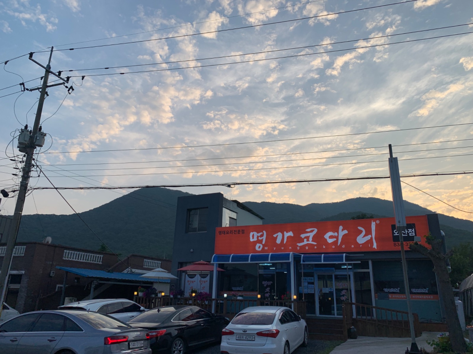 명가코다리 picture 9