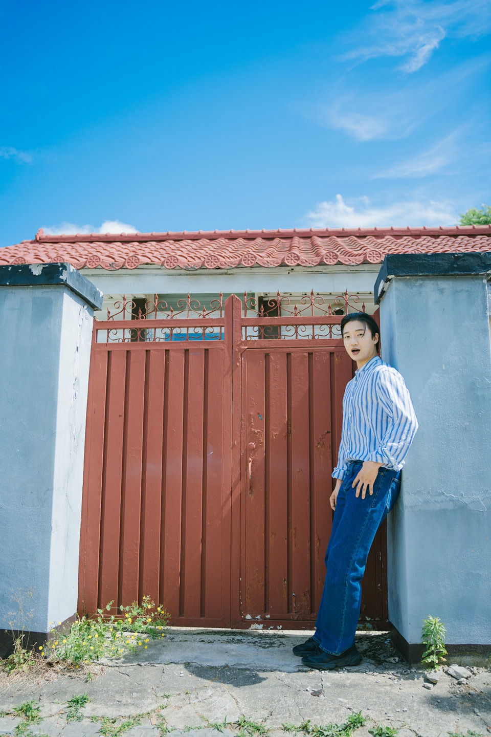 청춘으로 스냅사진, 영상  picture 9