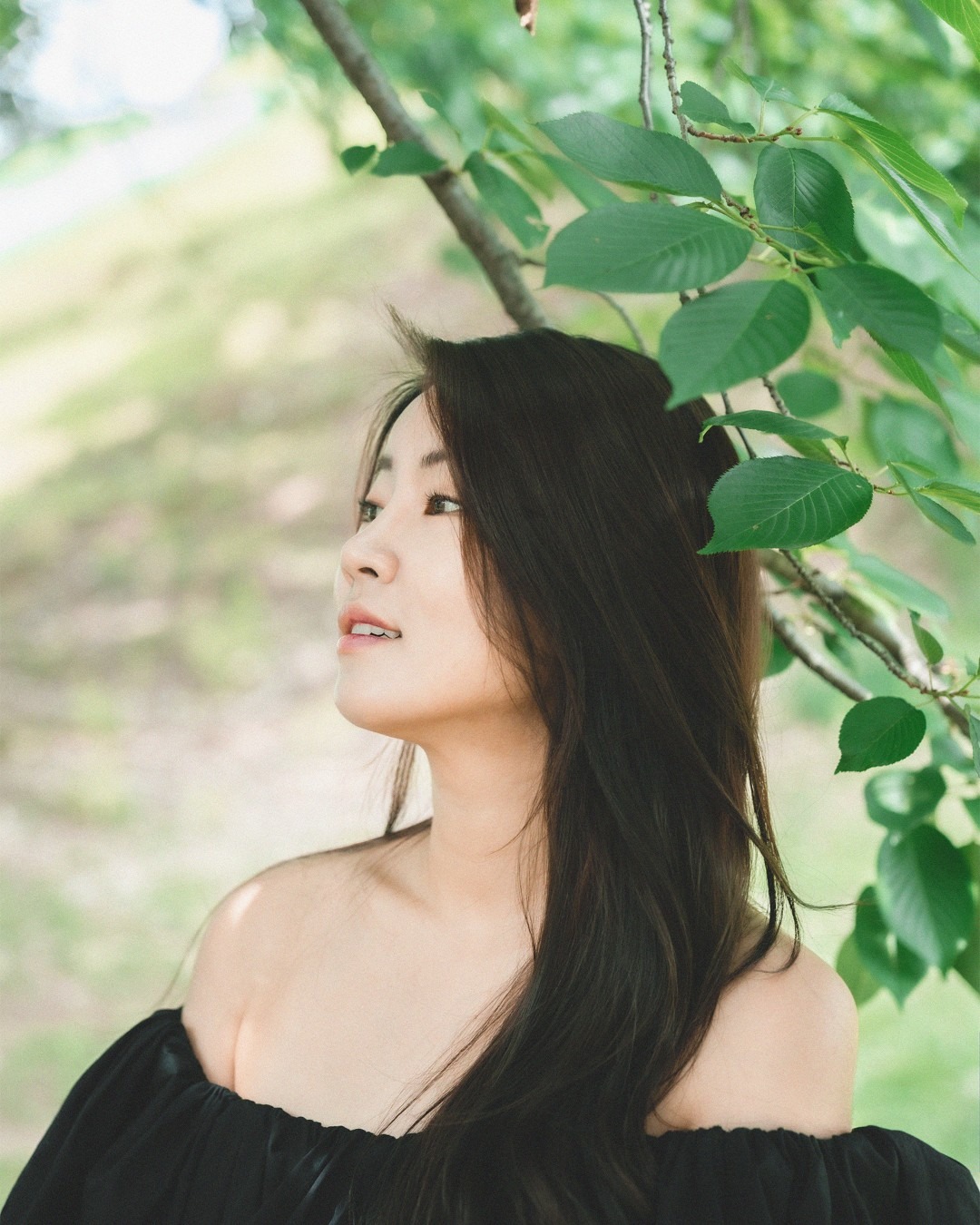 청춘으로 스냅사진, 영상  picture 3