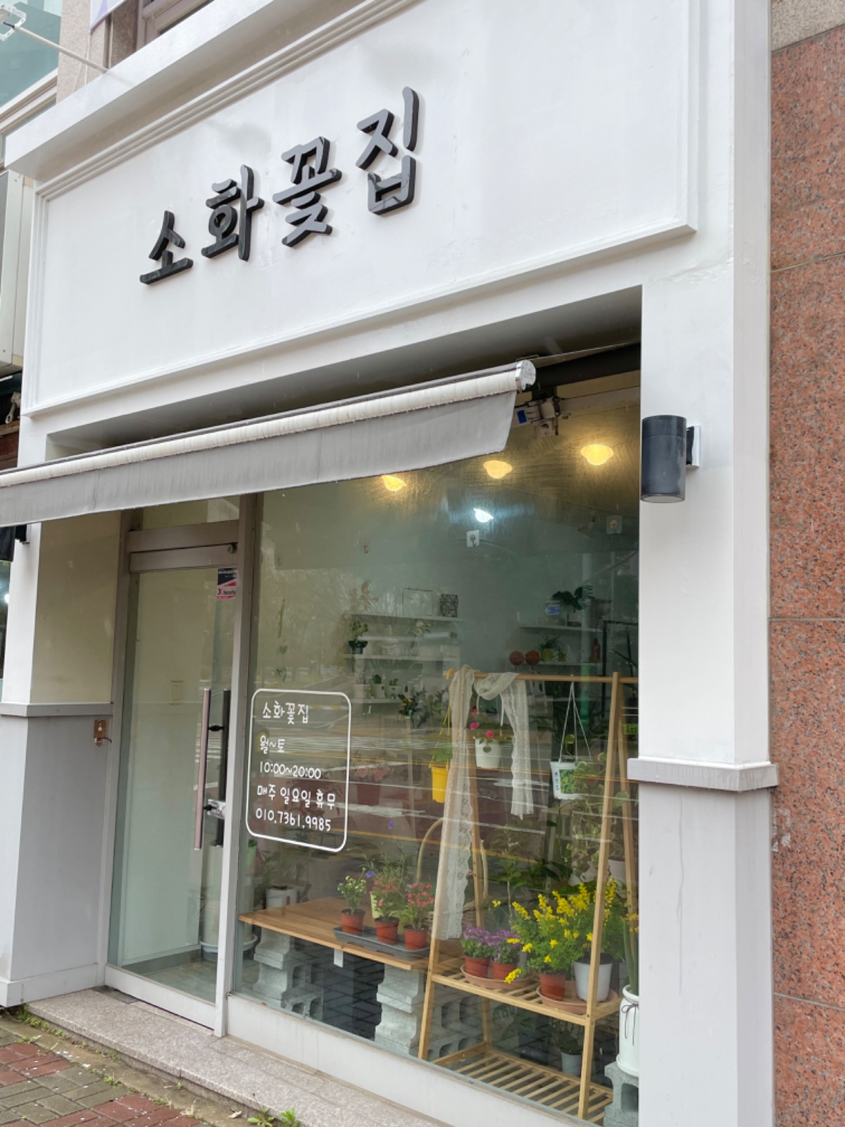 소화꽃집 picture 0