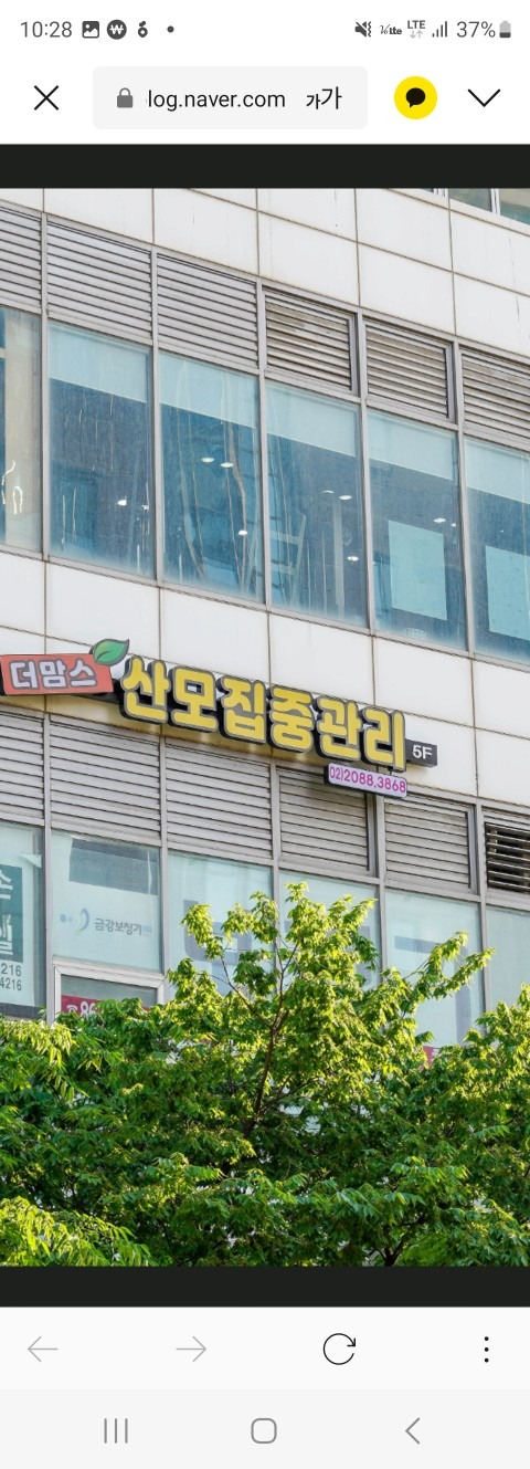 더맘스케어 산전산후 전문샵 picture 0