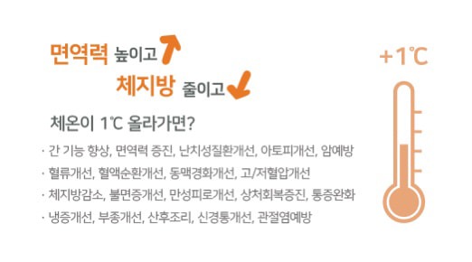 포톤테라피 picture 2