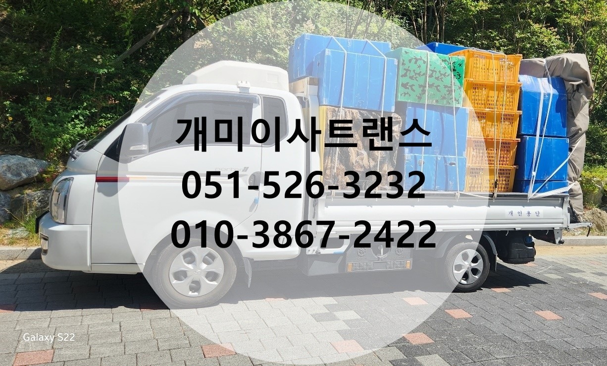 개미이사트랜스 개인용달화물 picture 0