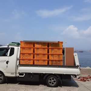 당근용달